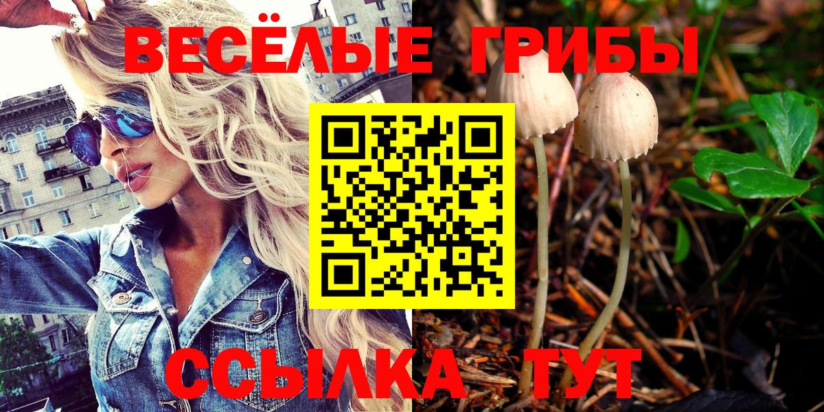 Галлюциногенные грибы Psilocybe  Вход с VPN  Псилоцибиновые грибы прущие грибы  Красногорск 