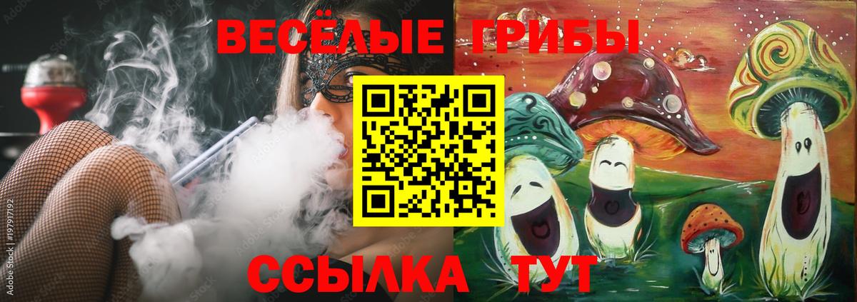 Галлюциногенные грибы Psilocybine cubensis Красногорск